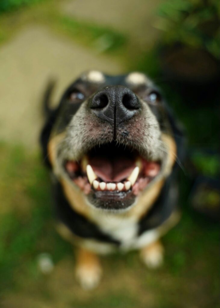 caroline-o-brien-Ns9boowR_7A-unsplash